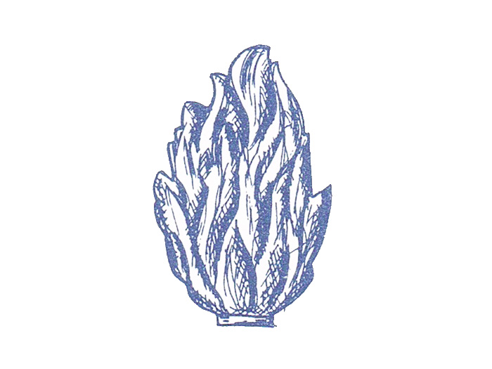 Löwenköpfe, Flammen, Getriebene & Körper, Nr. 11940
